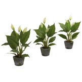 11 inch Artificial Spathyfillum in Cement Planter (Set of 3)