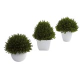 5 & 6 inch Artificial Mixed Cedar Topiary Collection (Set of 3)