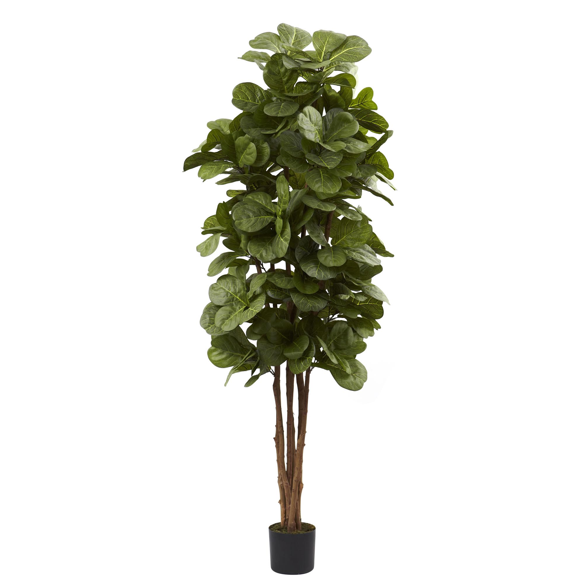 6 Foot Artificial Fiddle Leaf Fig Tree: Potted