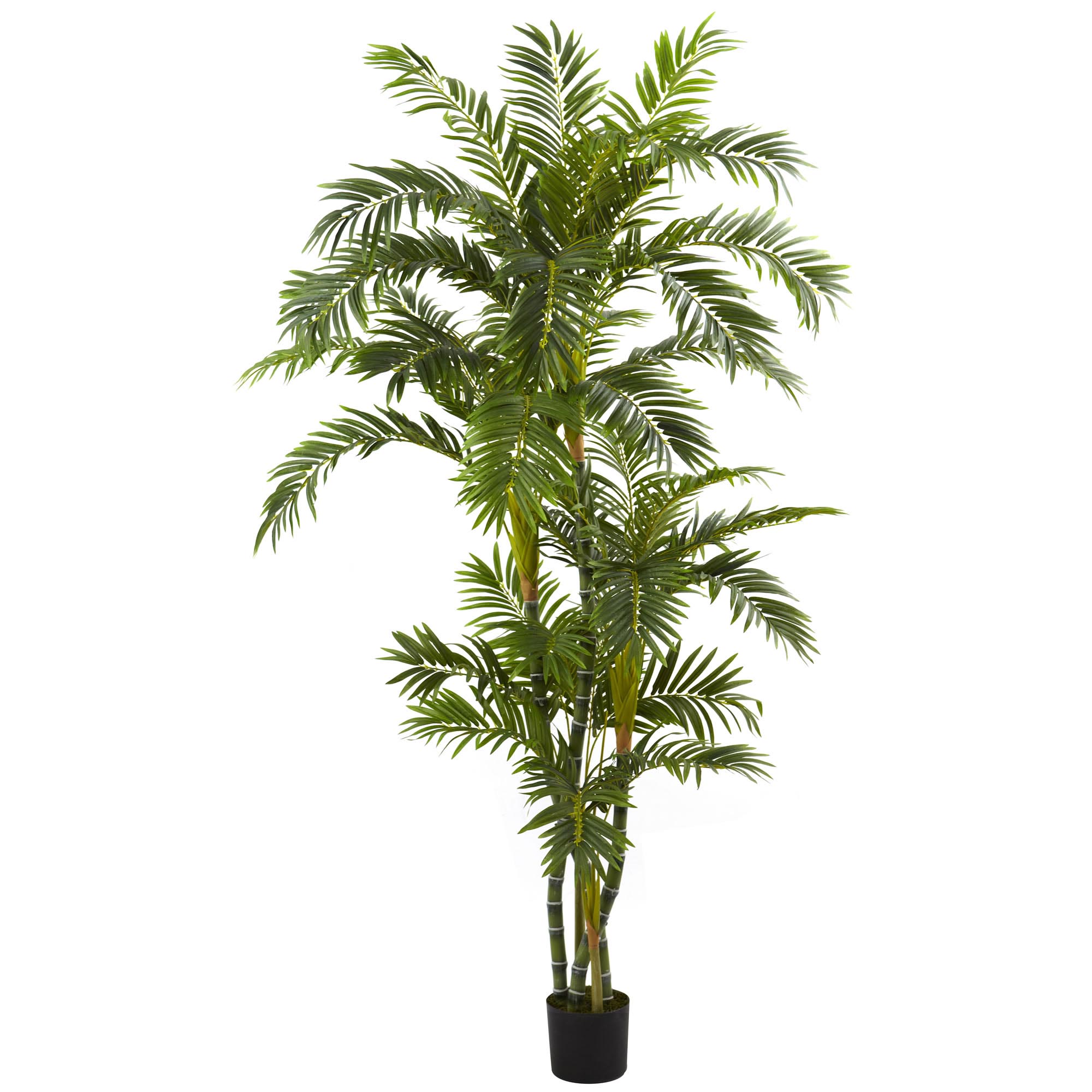 6 Foot Artificial Curvy Parlor Palm Silk Tree: Potted