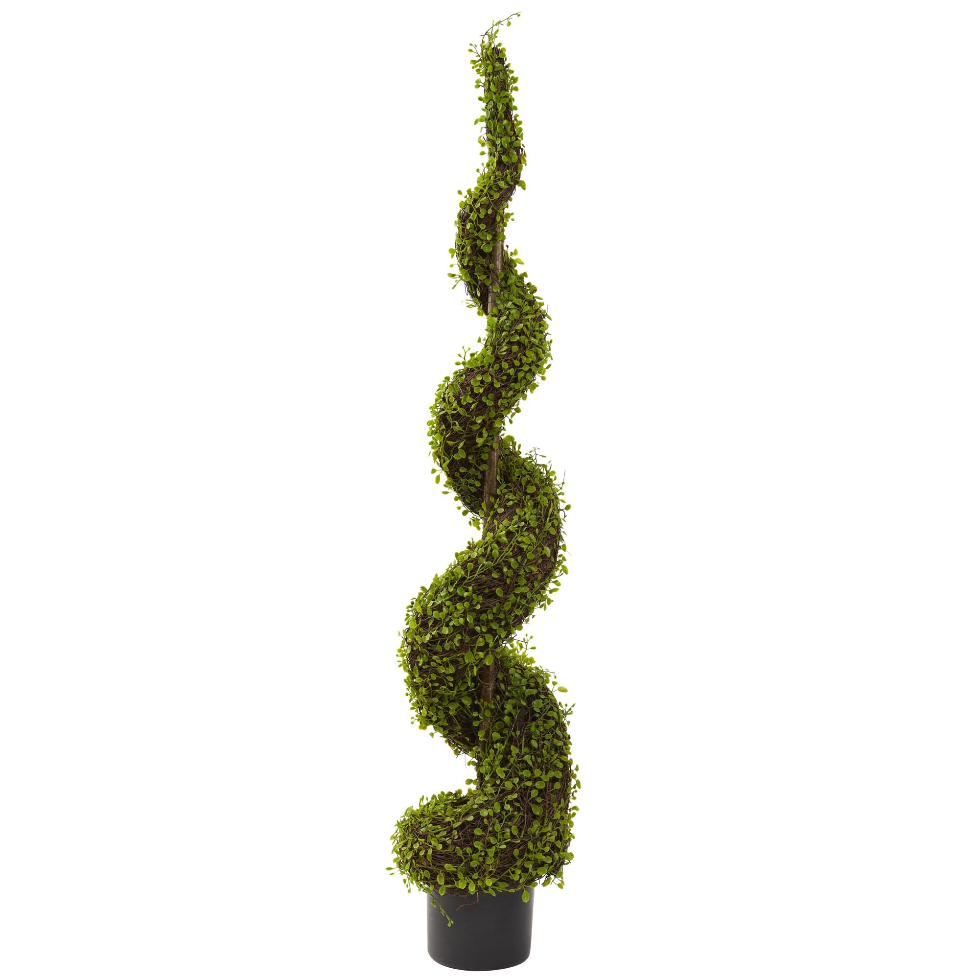 4 Foot Artificial Mohlenbechia Spiral Tree: Potted