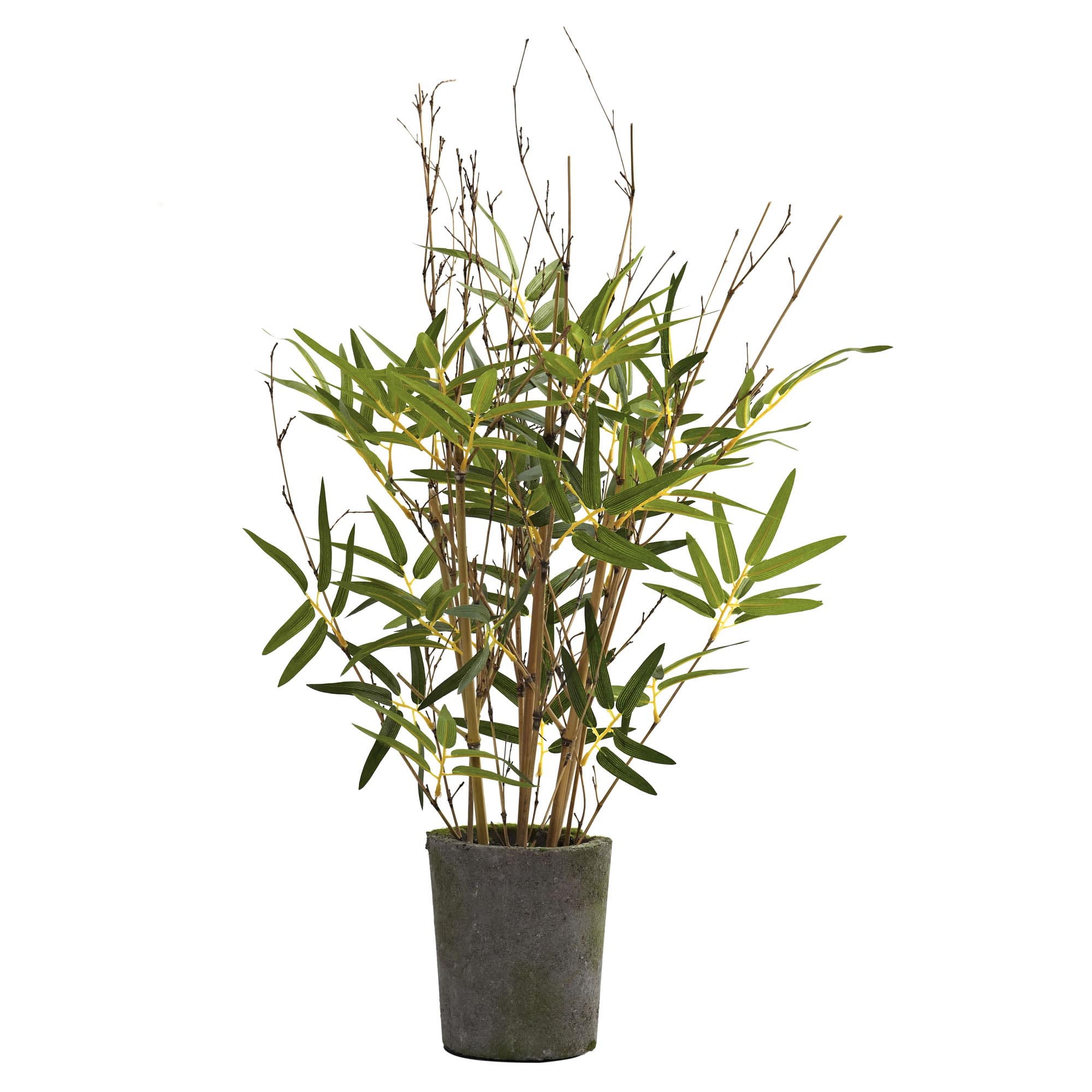 27 Inch Bamboo Tree In Cement Pot