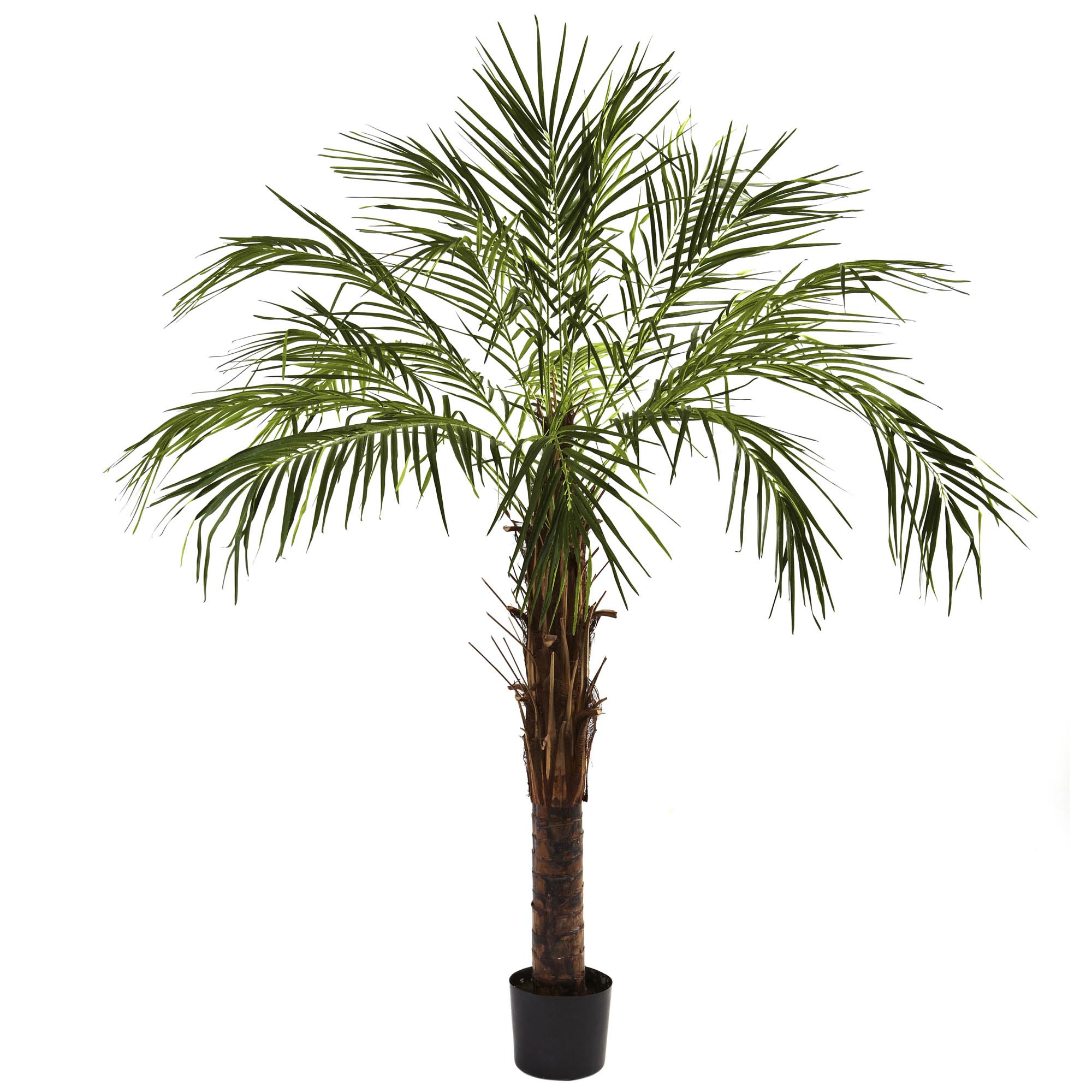 6 foot Artificial Robellini  Palm Tree Potted 5366