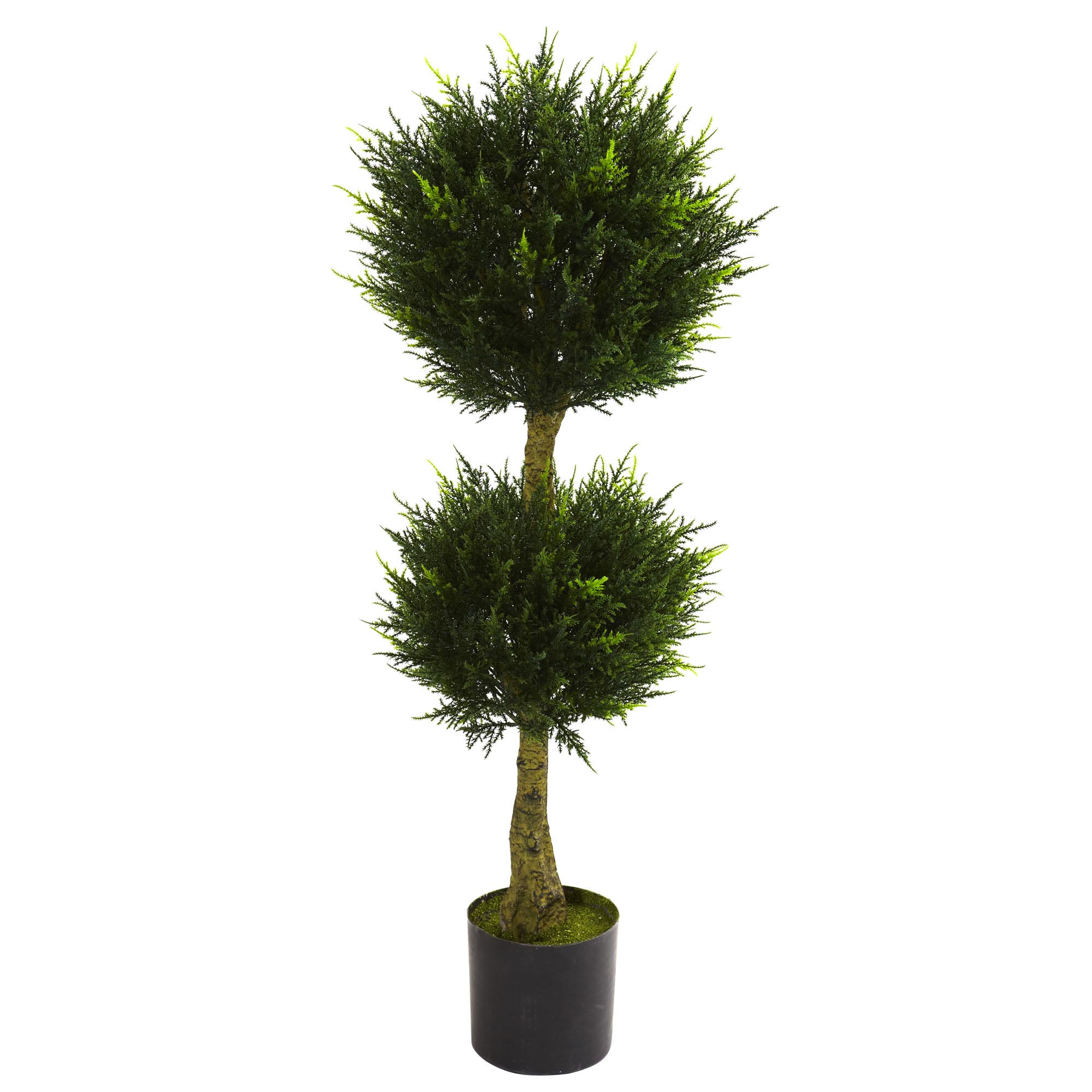4 Foot Outdoor Double Ball Cypress Topiary: Potted
