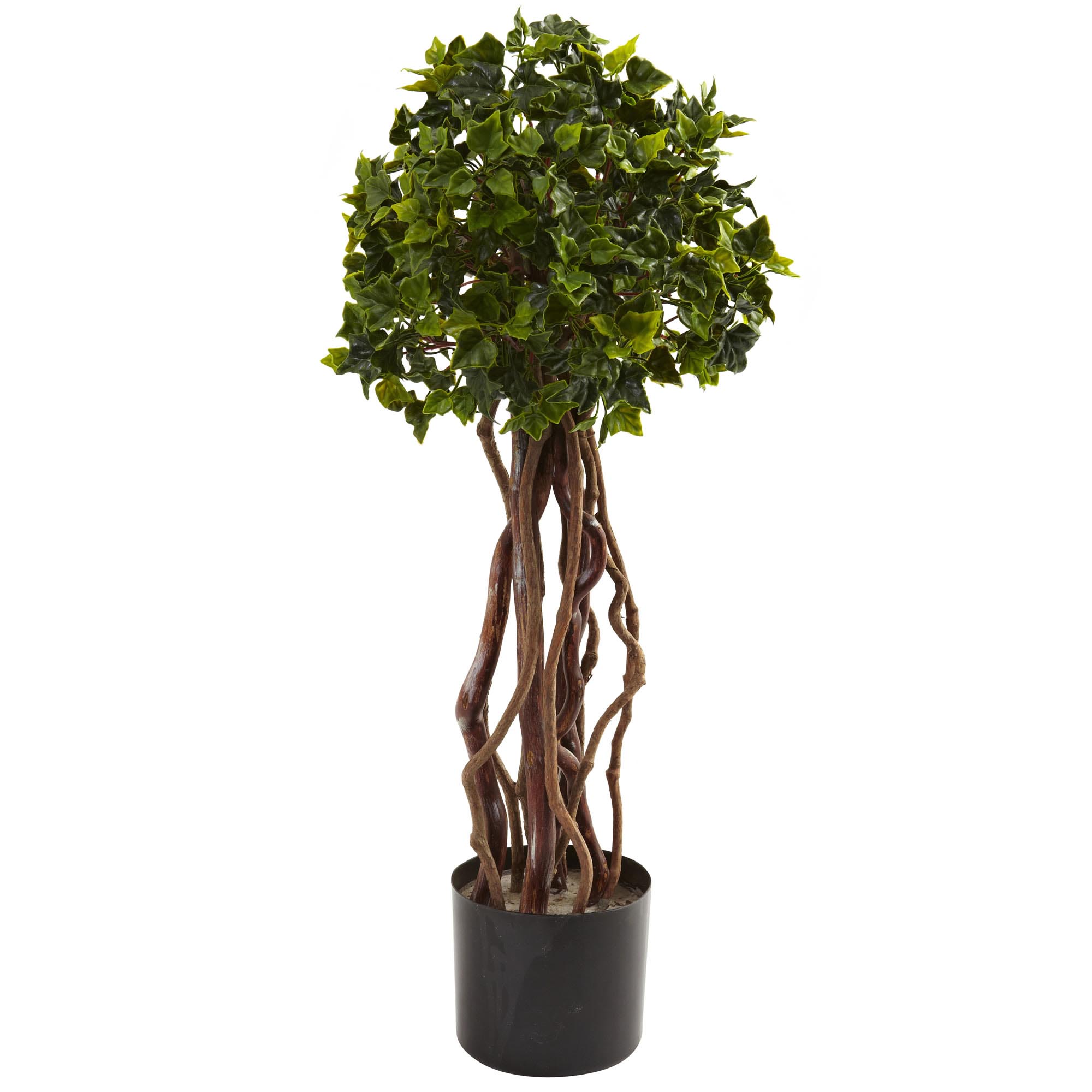 2.5 Foot Silk English Ivy Topiary: Potted