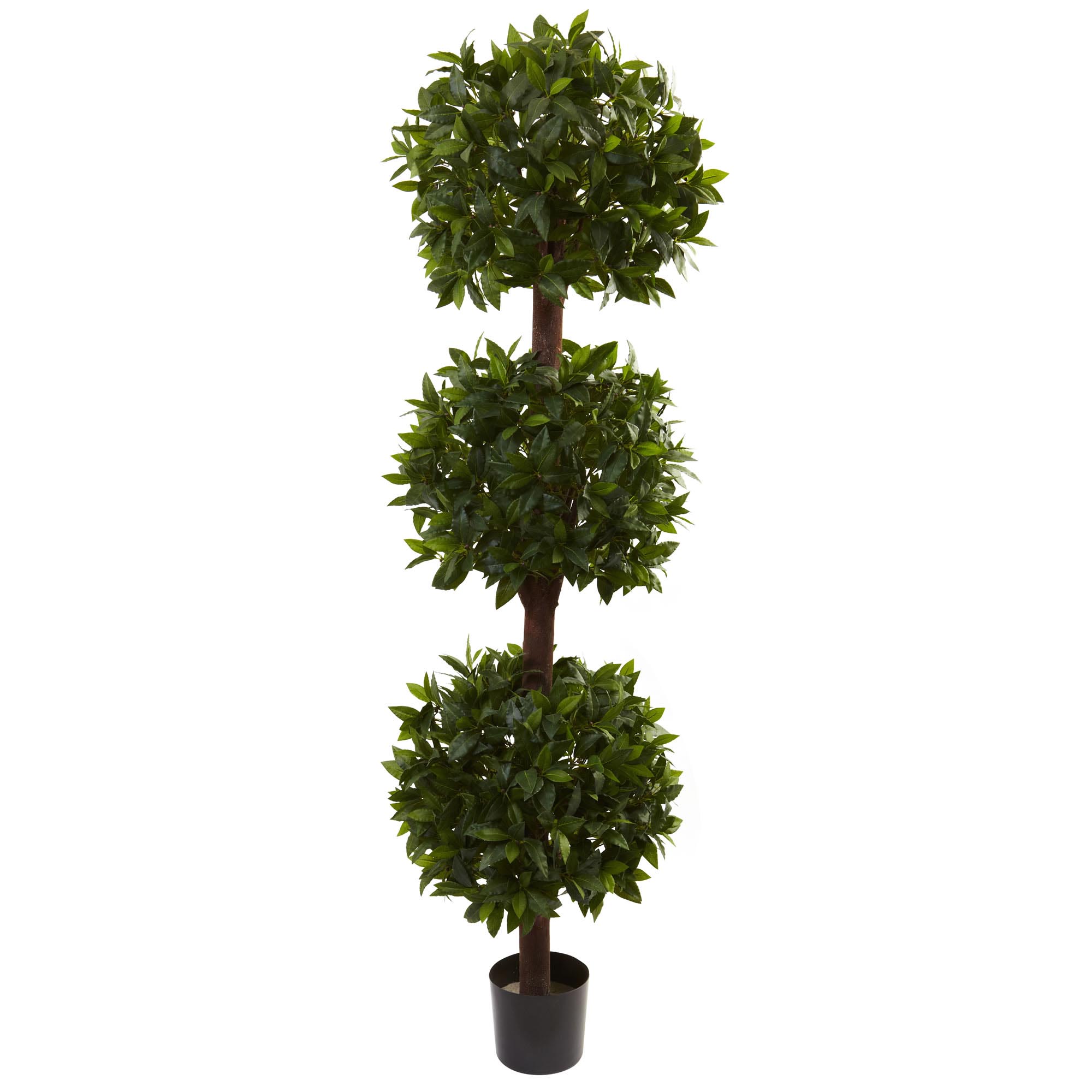 6.5 Foot Artificial Sweet Bay Triple Ball Topiary: Potted