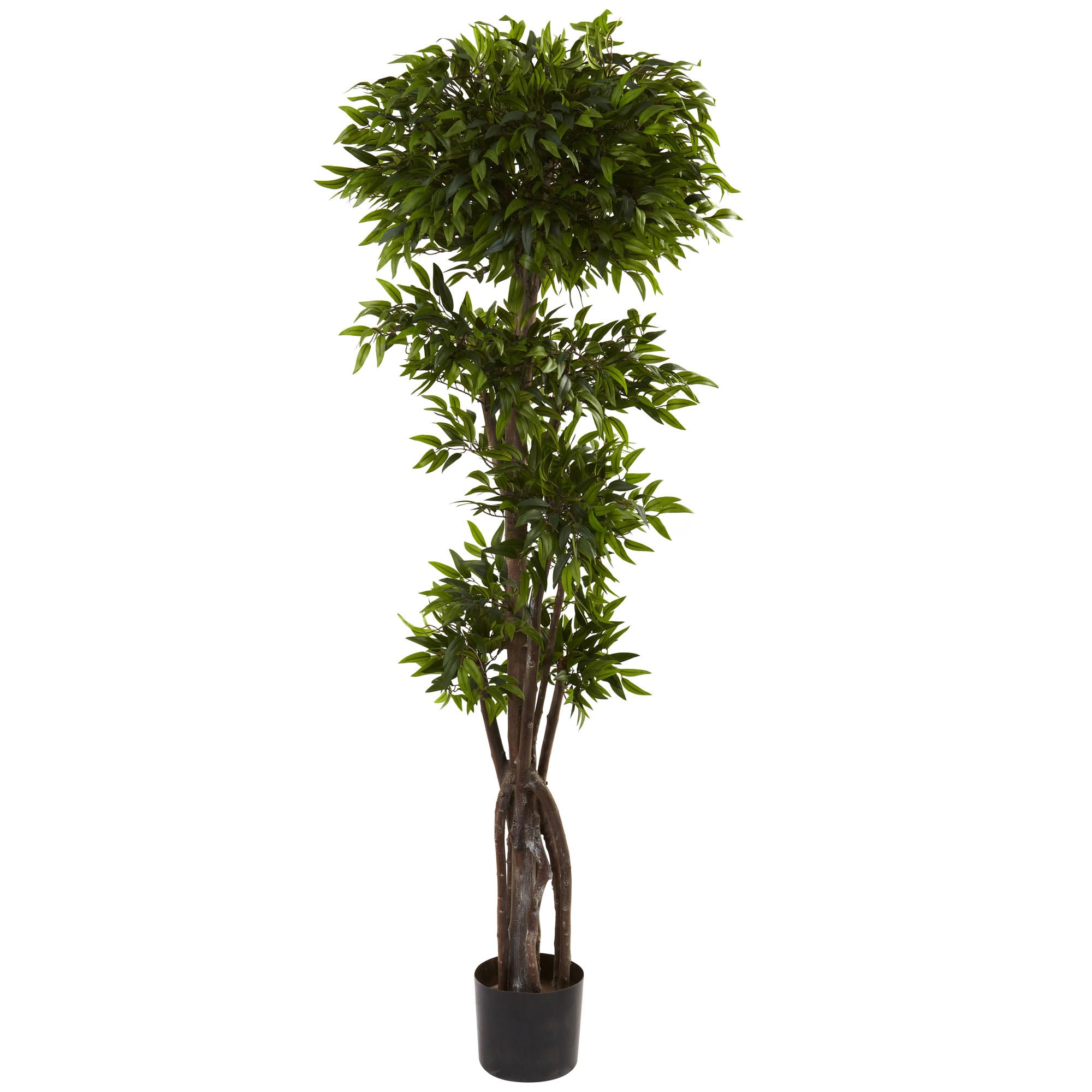 5 foot Artificial Ruscus Tree: Potted