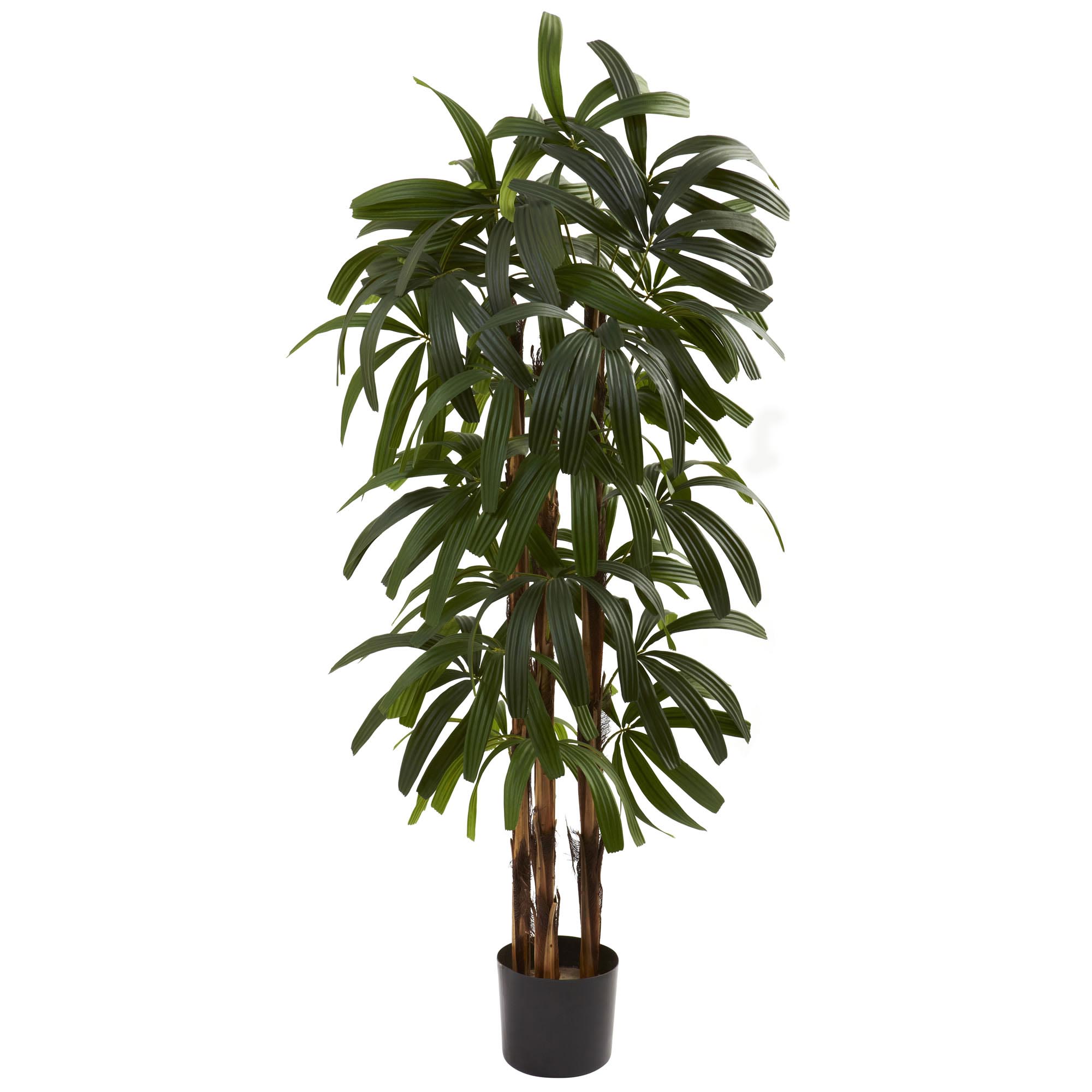 4 Foot Artificial Raphis Palm Tree: Potted