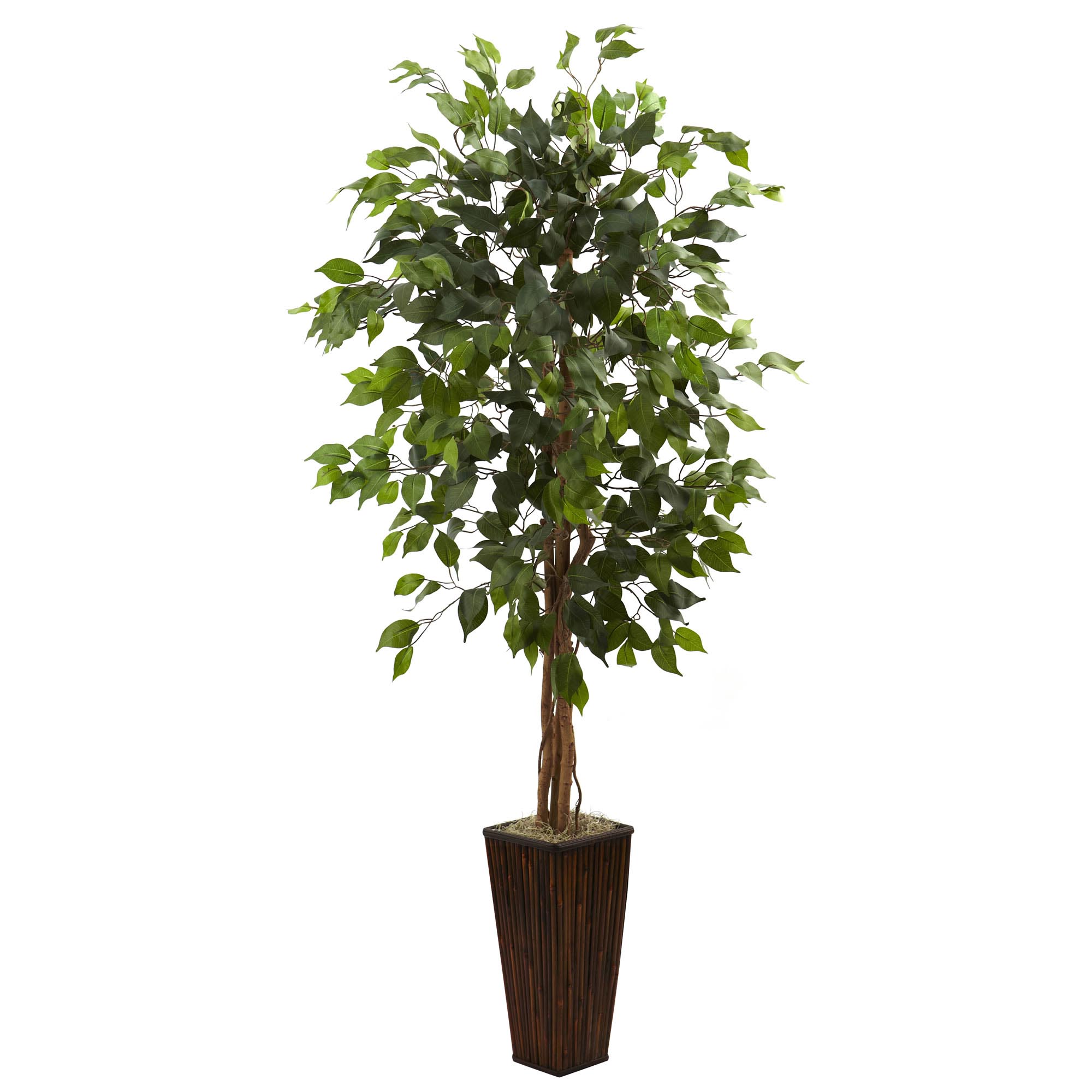 5.5 foot Artificial Ficus Tree in Bamboo Planter