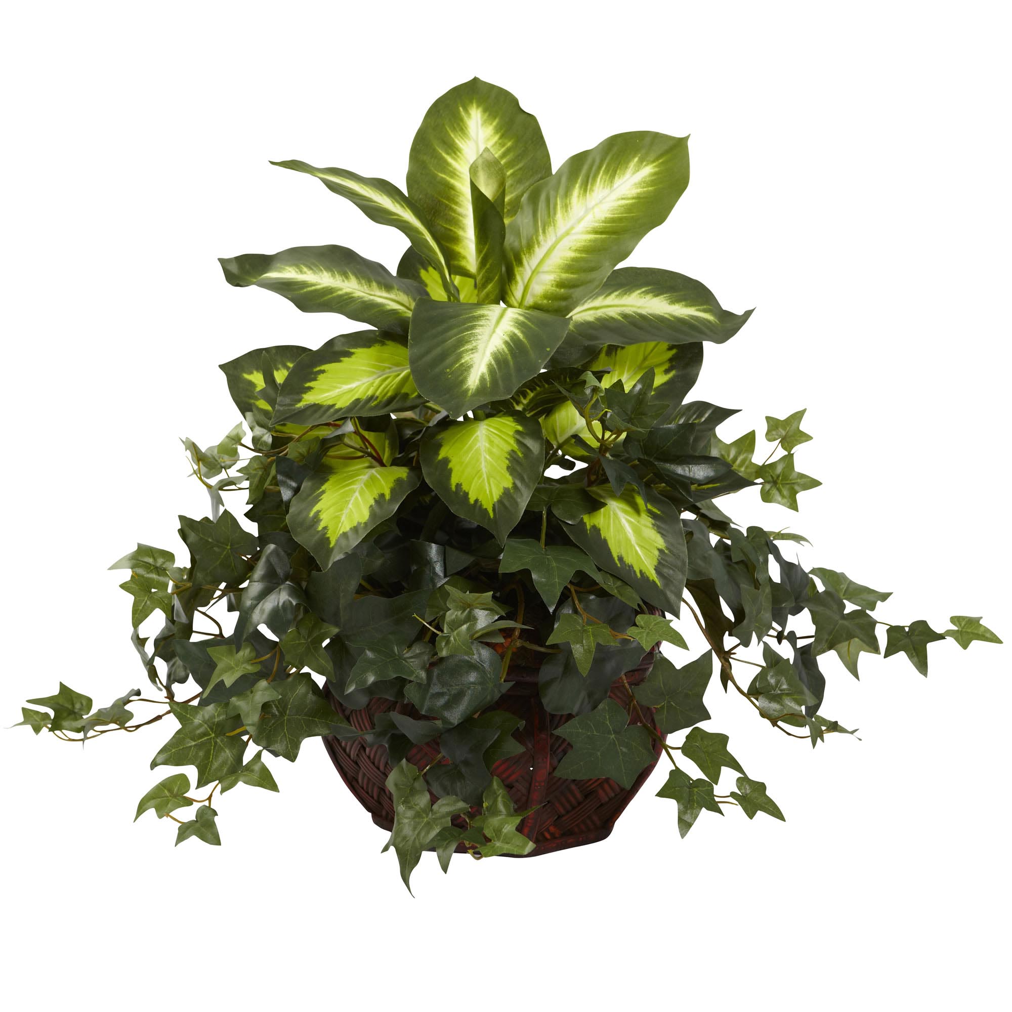20 Inch Silk Dieffenbachia & Ivy In Decorative Planter