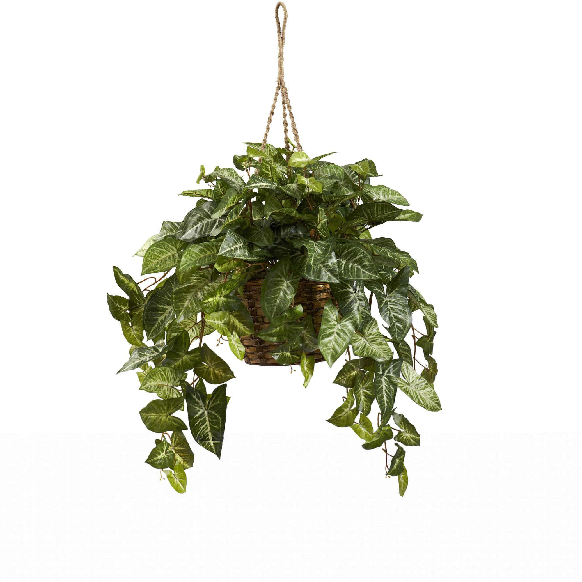 24 Inch Wide Artificial Nepthytis Hanging Basket