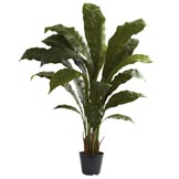 3.5 foot Artificial Birds Nest Plant: Potted