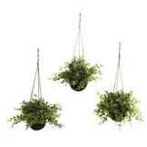 12 inch Silk Eucalyptus, Maiden Hair & Berry Hanging Basket(Set of 3)