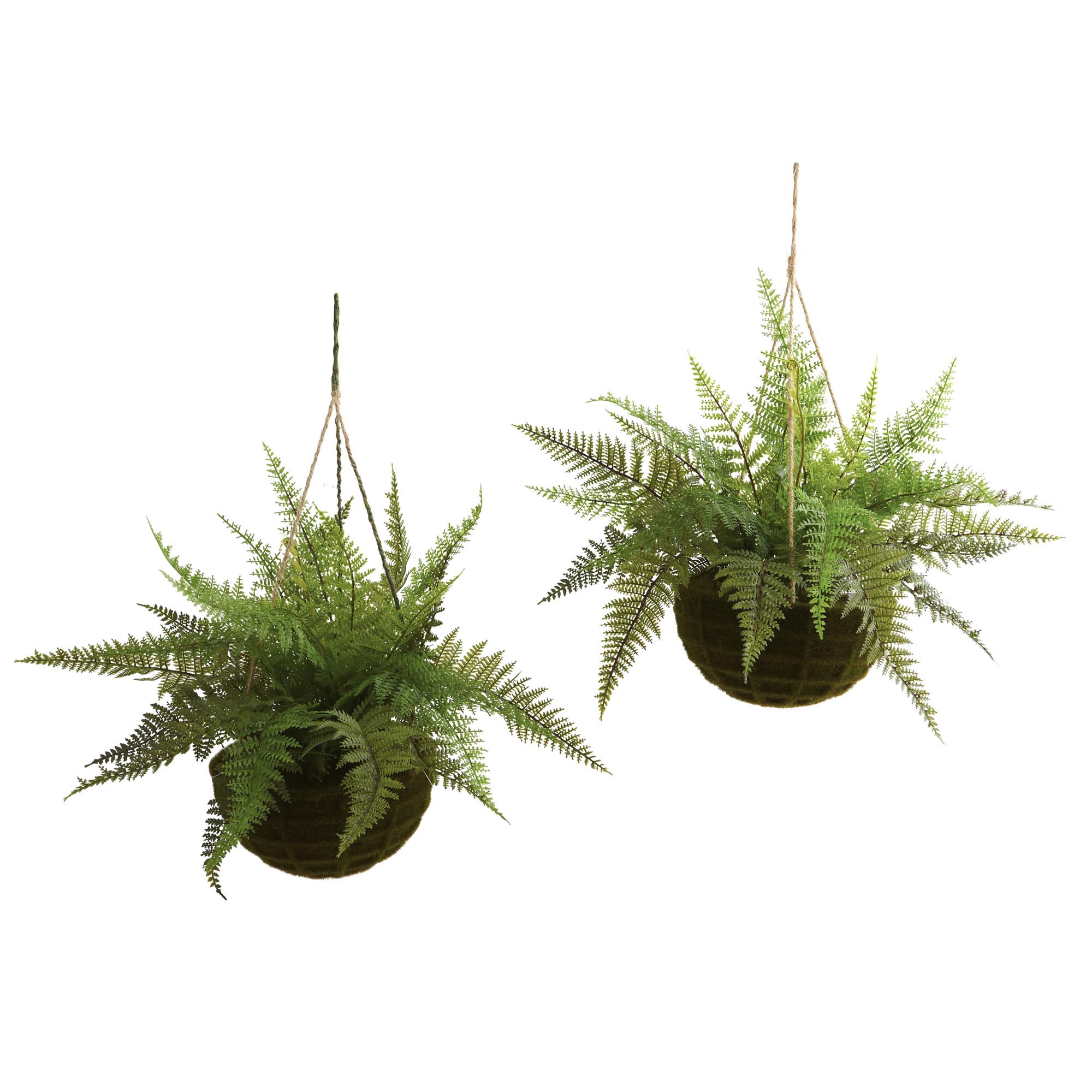 18 Inch Outdoor Leather Fern In Mossy Hanging Basket (set Of 2) Limited Uv Protection