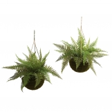 18 inch Outdoor Leather Fern in Mossy Hanging Basket (Set of 2) Limited UV Protection