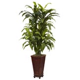 57 inch Artificial Marginatum in Decorative Planter