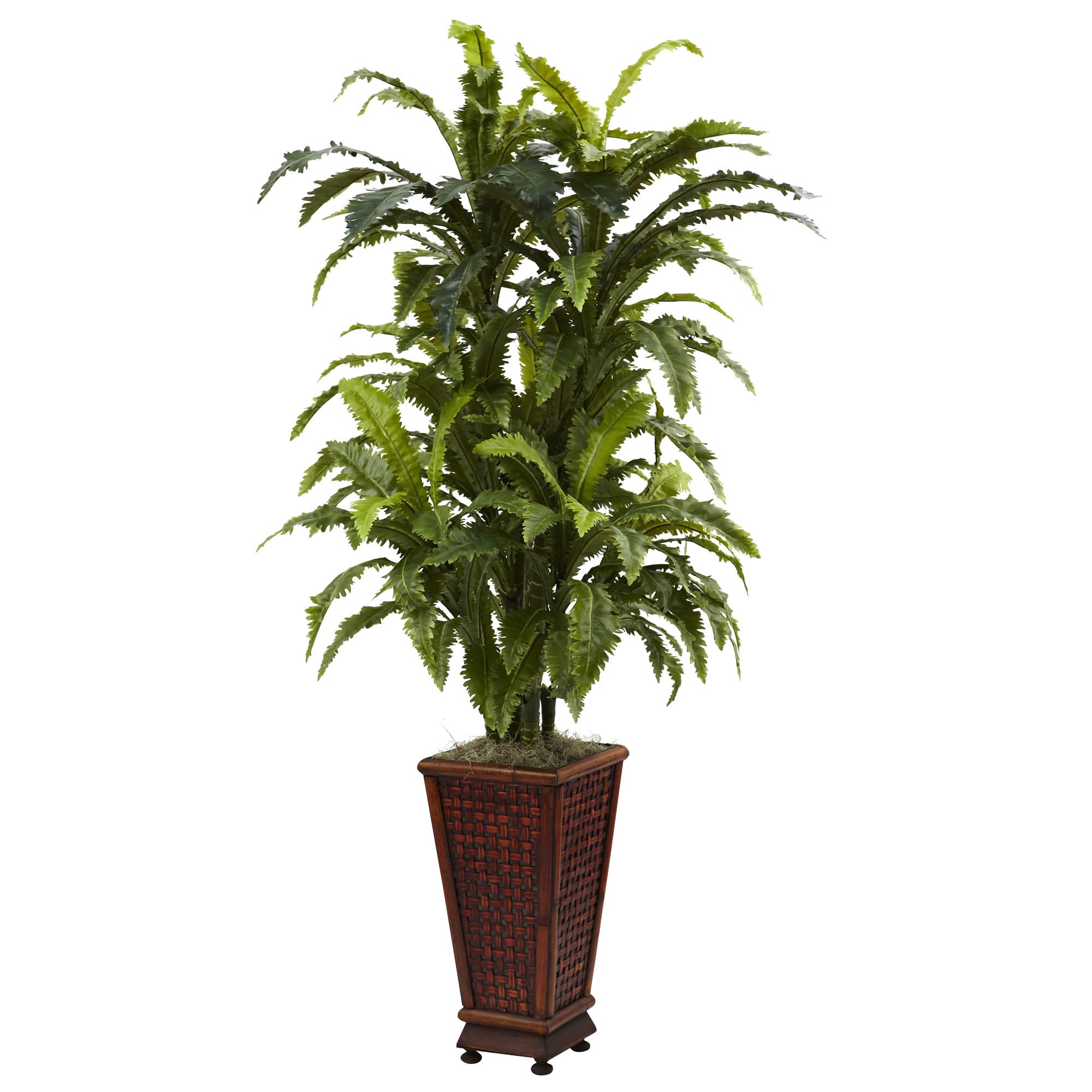 57 Inch Artificial Marginatum In Decorative Planter