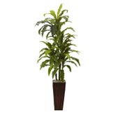 55 inch Artificial Marginatum in Bamboo Planter