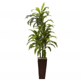55 inch Artificial Marginatum in Bamboo Planter