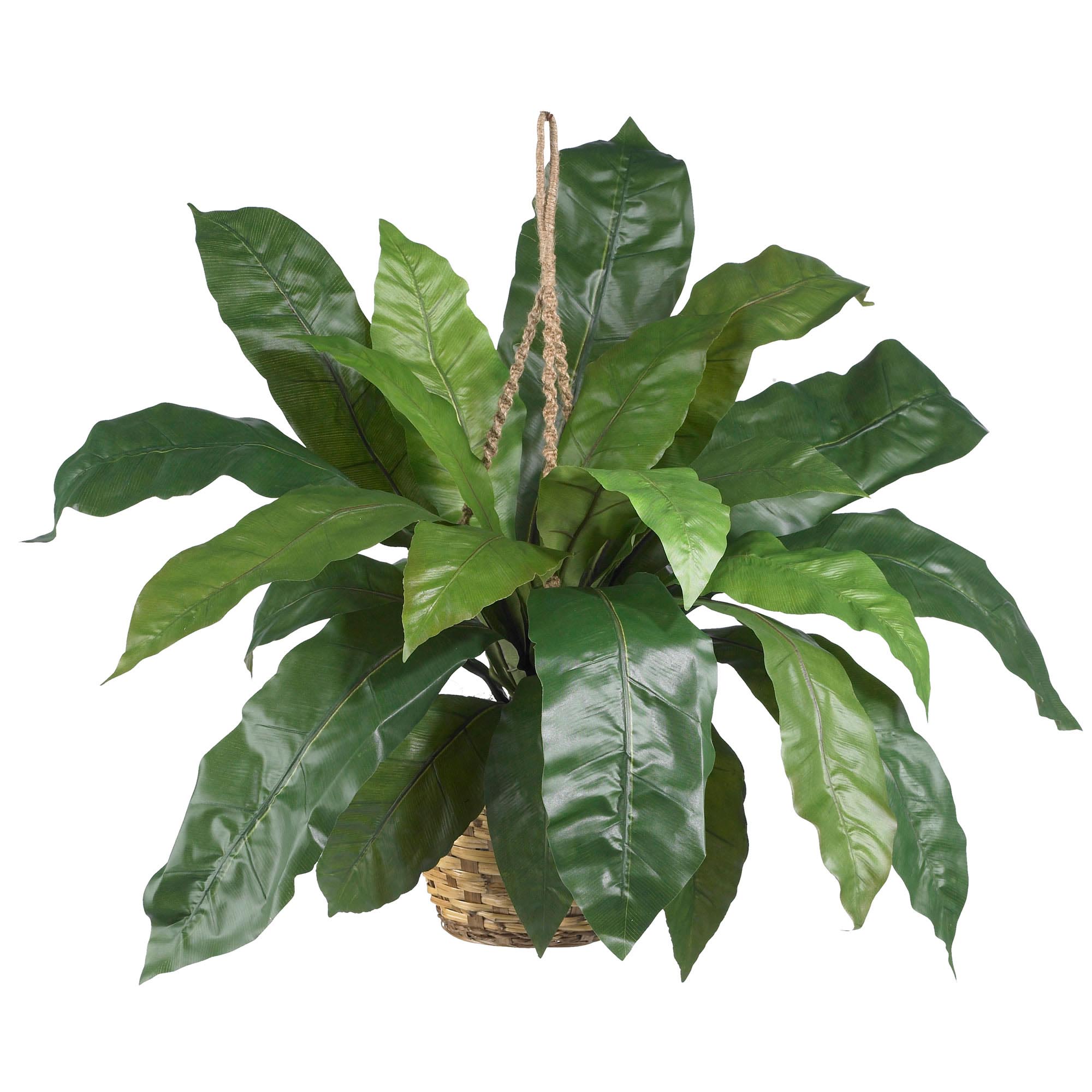 34 Inch Wide Silk Large Birds Nest Fern Hanging Basket