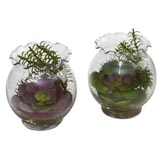 6 inch Artificial Succulent in Fluted Vase (Set of 2)