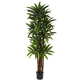 6.5 foot Exotic Artificial Dracaena Tree