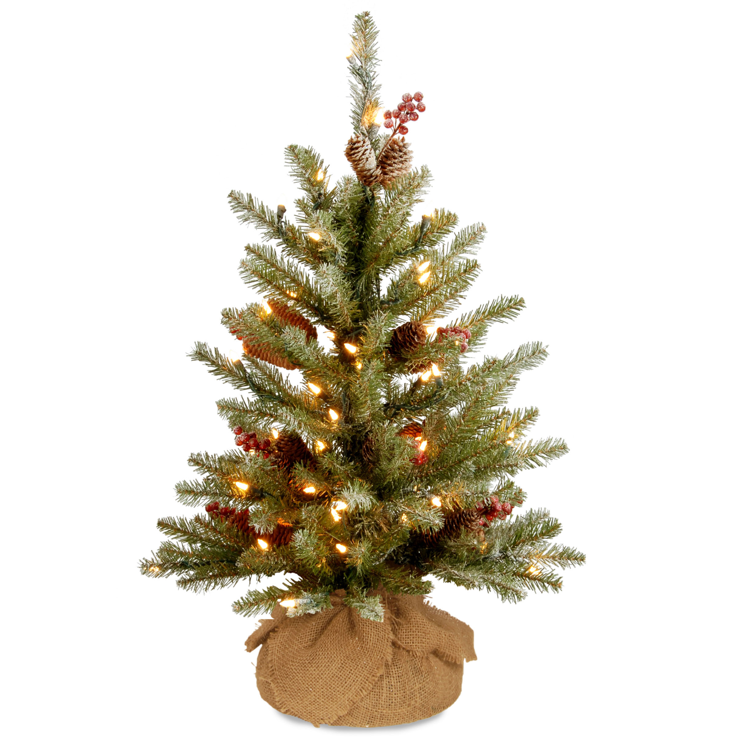 24 Inch Dunhill Fir Snowy Tree In Burlap Base: Battery/timer Leds