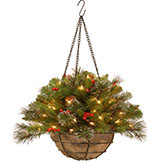 20 inch Crestwood Spruce Chain Hanging Coconut Fiber Basket: B/O LEDs