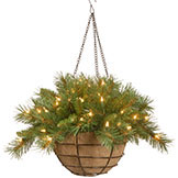 20 inch Tiffany Fir Hanging Basket: Battery/Timer Operated LEDs