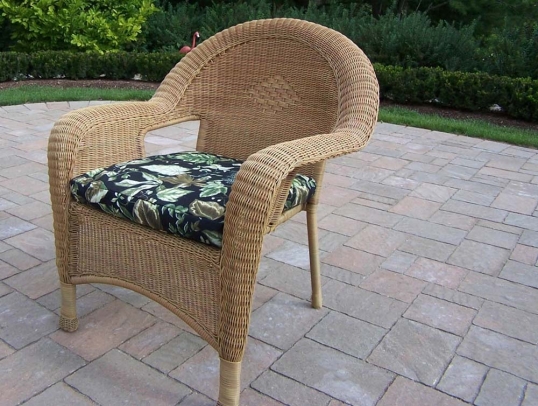 Resin Wicker Outdoor Arm Chair w/ Black Floral Cushion (Set of 2)