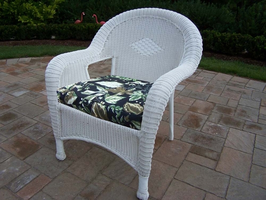White Resin Wicker Arm Chair with Cushions (Set of 2)