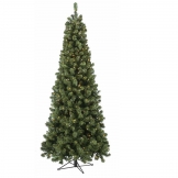7.5 foot Oregon Fir Slim Christmas Tree: Clear Lights