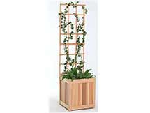 Cedar 2pc. Planter with Trellis