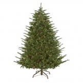 7.5 foot Nature's Own Fraser Fir Christmas Tree: Clear Lights