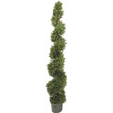6.4 foot Artificial Pond Cypress Spiral Topiary