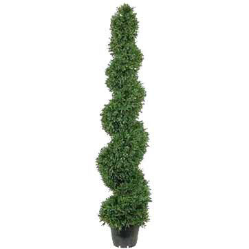 5 Foot X 13 Inch Artificial Rosemary Spiral Topiary Tree: Potted