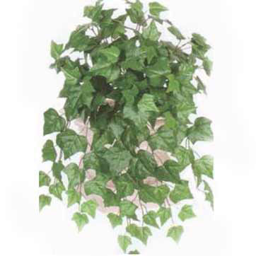 23 inch Silk Oxford Ivy Bush