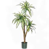4.5 foot Artificial Dracaena Plant