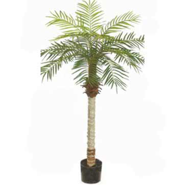 5 foot Artificial Phoenix Palm