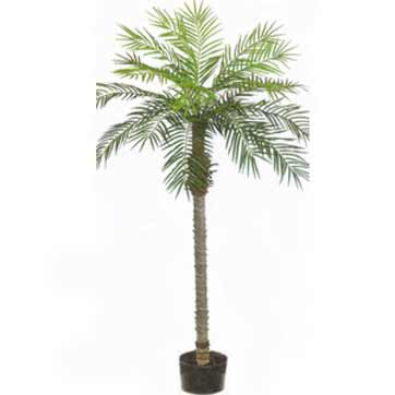 7 Foot Artificial Phoenix Palm Tree: Potted
