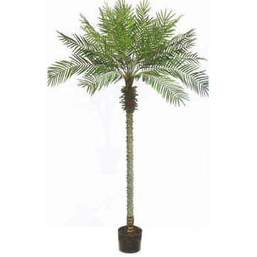 8 Foot Artificial Phoenix Palm Tree: Potted