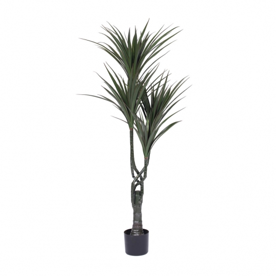 4 foot Giant Yucca Tree: Limited UV