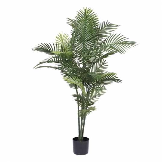 5 foot Robellini Palm Tree: Limited UV