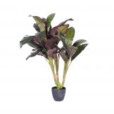 30 inch Real Touch Dracaena: Potted