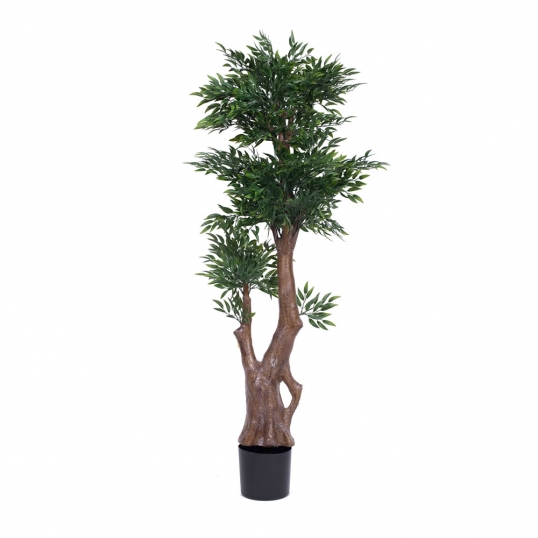 5 foot Ruscus Bonsai Tree: Limited UV | T160960