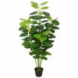 64 inch Fresh Philodendron: Potted