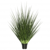 5 foot Extra Full Grass: Potted