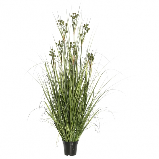 5 foot Grass with Pomp Balls: Potted