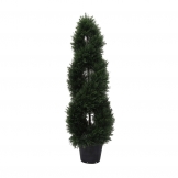 4 foot UV Protected Cedar Double Spiral Topiary: Potted