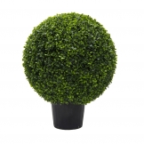 2 foot UV Protected Boxwood Ball Topiary: Potted